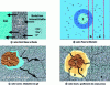 Figure 2 - Swelling of gels: different hypotheses