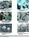 Figure 5 - Petrographic observations of rock samples