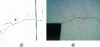 Figure 11 - Surface cracking facies: perpendicular to the expansion joint in a slab (a) and in the corner of a French window (b)