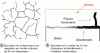 Figure 12 - Example of cracking and debonding facies in thin elements