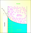 Figure 2 - Schematic representation of capillary depression