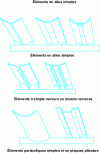 Figure 7 - Some examples of special roof element shapes