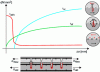 Figure 19 - Individual evolution of shear stress
as a function of differential stress for each mechanism (cohesion
/ shape-locking adhesion τadh, friction τsf and
shear reinforcement/connector τsr (dowel effect) (Credit
Zilch and Reinecke).