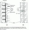 Figure 11 - Reinforcement corrosion detection method (doc. CEBTP)