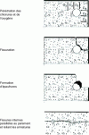 Figure 5 - Corrosion cracking