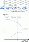 Figure 7 - Simplified model of concrete carbonation (from [10])