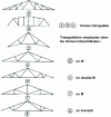 Figure 11 - Triangulated truss diagrams