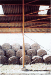 Figure 19 - LVL (Laminated Veneer Lumber) gantry spillway