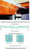 Figure 3 - Joist deformation and cracking