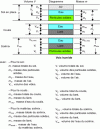 Figure 22 - Soilmix models for the wet process