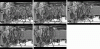 Figure 19 - Folding a half-gateway (Crédit Barbarigos)