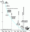 Figure 1 - Evolution of the dead weight of buildings (Crédit Sarger)