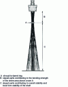 Figure 11 - Sydney Tower: schematic elevation