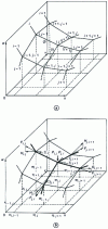 Figure 4 - Bidirectional spatial cable system