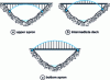 Figure 8 - Arch bridges