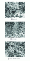 Figure 8 - Scanning electron microscope photographs of compacted Jossigny silt samples [17]