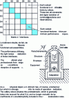 Figure 6 - Interface processing