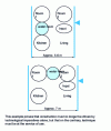 Figure 11 - Apartment flowcharts