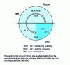 Figure 2 - Origin of non-quality costs