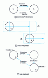 Figure 10 - Design process