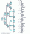 Figure 11 - Structuring functional data for building elevation (based on LEA software)