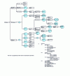 Figure 12 - Technical tree structure deduced from figure  (based on LEA software)