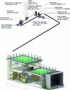 Figure 22 - Screen shot of Revit software, integrating the HVAC model - Identification of the parameters assigned to them - "BMS Project" (Architect – Mission BIM Manager: Agence RARE, photo credit: Zeina Khouri)