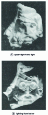 Figure 10 - The influence of directed light on the rendering of a face