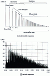 Figure 5 - Schematic time distribution of a sound pulse (emitted at time t = 0)