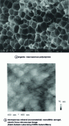 Figure 3 - Cellular material