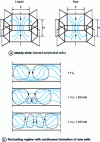 Figure 5 - Structure of convective movements in a horizontal layer