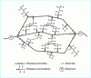 Figure 2 - Mesh network