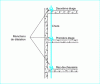 Figure 21 - Expansion sleeves on chute