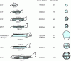 Figure 1 - Evolution of the cargo fleet