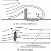 Figure 1 - The influence of plants on wind