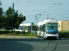 Figure 7 - A Škoda 06 T tram from Cagliari's Sardinian tramway (Credit J. Olaizola)