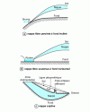 Figure 13 - Tablecloths