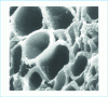 Figure 19 - Electron microscope structure of coconut-based activated carbon (from PICA doc.)