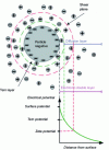 Figure 1 - Colloid structure (Credit Abdelhadi El Hachmi)