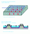 Figure 1 - Extensive "natural" wastewater treatment (Crédit BERLAND et al.)