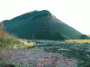 Figure 12 - Terril containing red shale (Rieulay) (Le pays minier du Nord-Pas-de-Calais website)