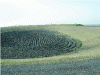 Figure 15 - Landscaping at the top of slag heaps (Razel photo library)