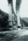 Figure 2 - Sakawagan Bridge in Japan (8 piers ranging from 42 to 65 m in height and 7 m in diameter): carbon fiber implementation bridge
