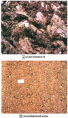 Figure 3 - Clay soil before and after treatment with 2% quicklime (Crédit Lhoist)