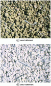 Figure 9 - Aggregate obtained with or without lime treatment (Crédit Lhoist)