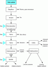 Figure 32 - Principle of particle size sorting and washing