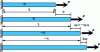 Figure 12 - Configurations at different stages of deformation of a bar under axial loading