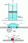 Figure 5 - Principle of the Evans battery