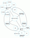 Figure 2 - Constructibility as a hyphen