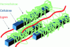 Figure 6 - Wood cell walls